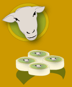 fromages de chèvre du Salagou